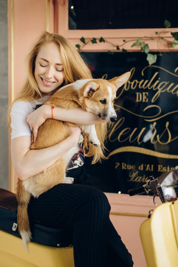 Offrez à votre chien le meilleur avec notre boutique spécialisée